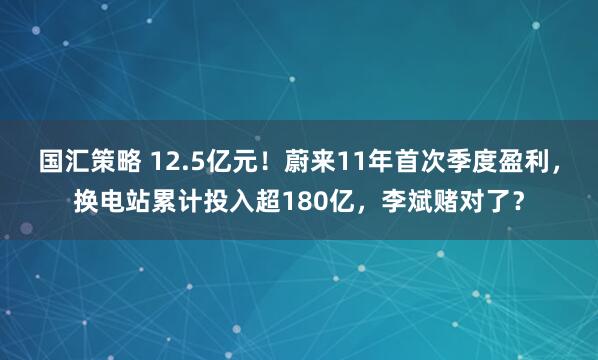 国汇策略 12.5亿元！蔚来11年首次季度盈利，换电站累计投入超180亿，李斌赌对了？