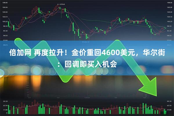 倍加网 再度拉升！金价重回4600美元，华尔街：回调即买入机会