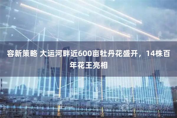 容新策略 大运河畔近600亩牡丹花盛开，14株百年花王亮相