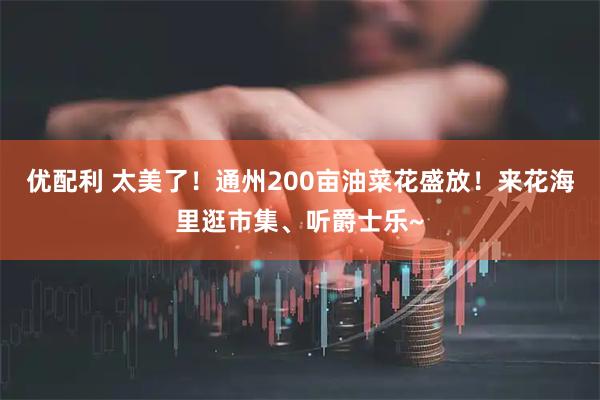 优配利 太美了！通州200亩油菜花盛放！来花海里逛市集、听爵士乐~
