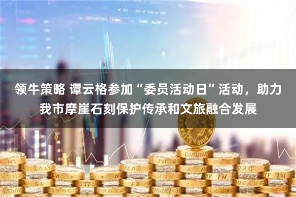 领牛策略 谭云格参加“委员活动日”活动，助力我市摩崖石刻保护传承和文旅融合发展
