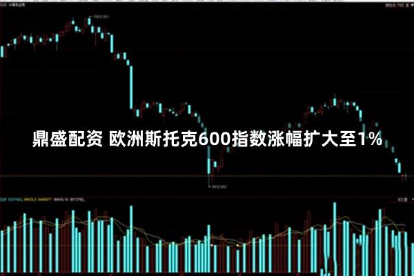 鼎盛配资 欧洲斯托克600指数涨幅扩大至1%