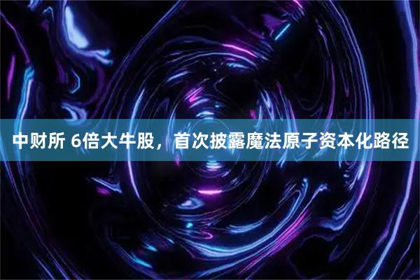 中财所 6倍大牛股，首次披露魔法原子资本化路径