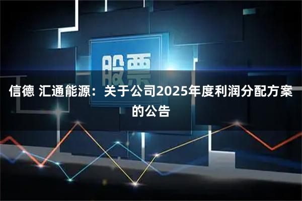 信德 汇通能源：关于公司2025年度利润分配方案的公告