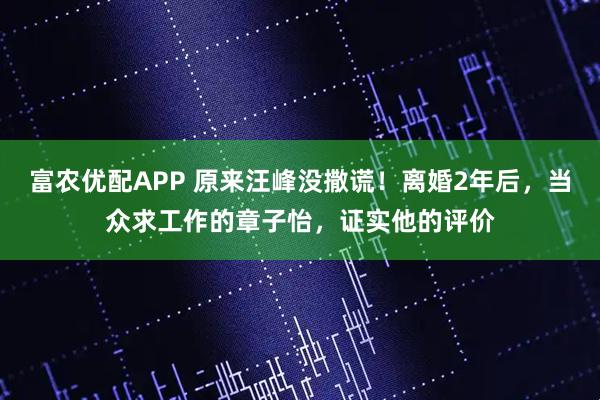富农优配APP 原来汪峰没撒谎！离婚2年后，当众求工作的章子怡，证实他的评价