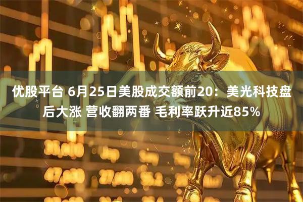 优股平台 6月25日美股成交额前20：美光科技盘后大涨 营收翻两番 毛利率跃升近85%