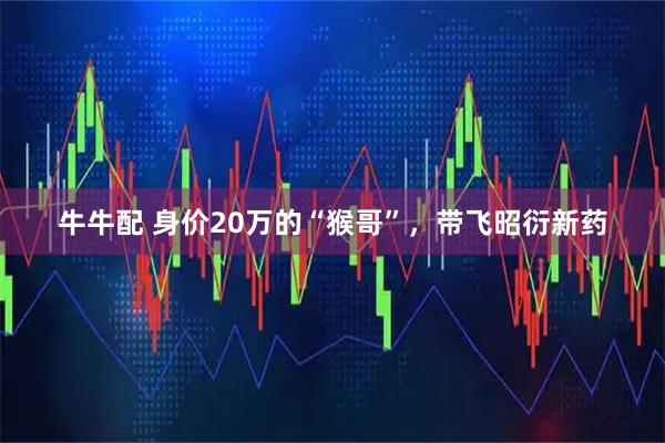 牛牛配 身价20万的“猴哥”，带飞昭衍新药