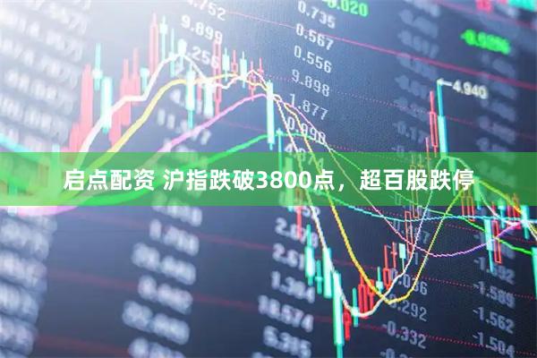 启点配资 沪指跌破3800点，超百股跌停