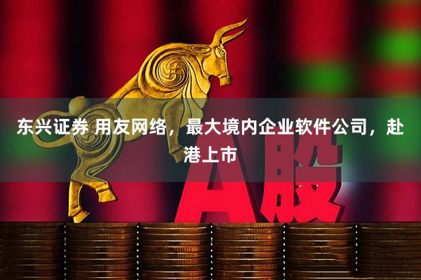 东兴证券 用友网络，最大境内企业软件公司，赴港上市