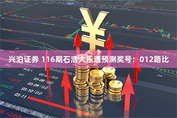 兴泊证券 116期石浩大乐透预测奖号：012路比